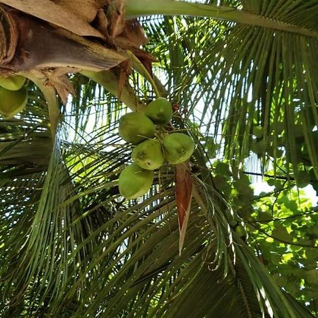 Tiwi Beach Resort & Spa Mombasa Eksteriør bilde