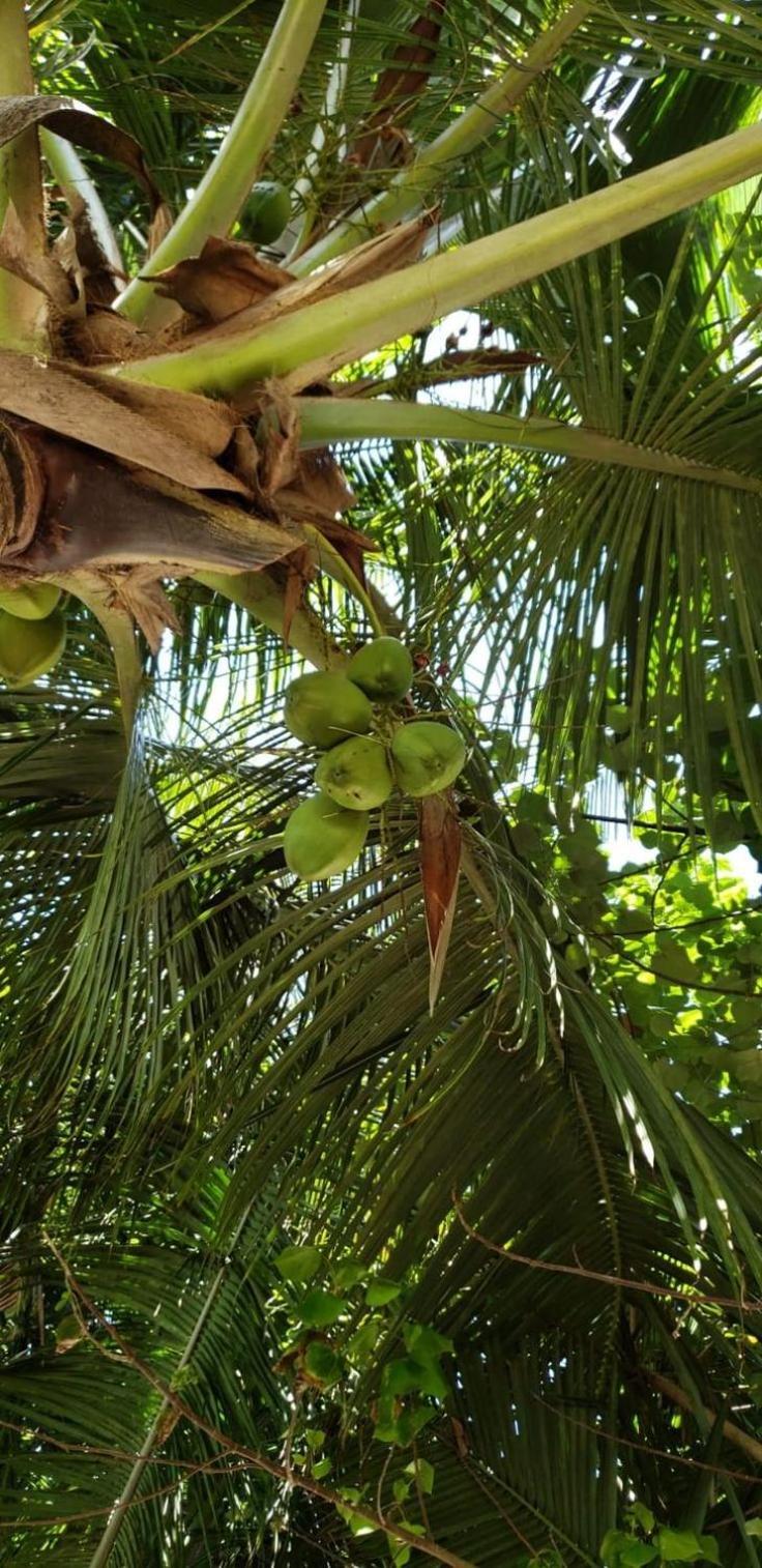 Tiwi Beach Resort & Spa Mombasa Eksteriør bilde